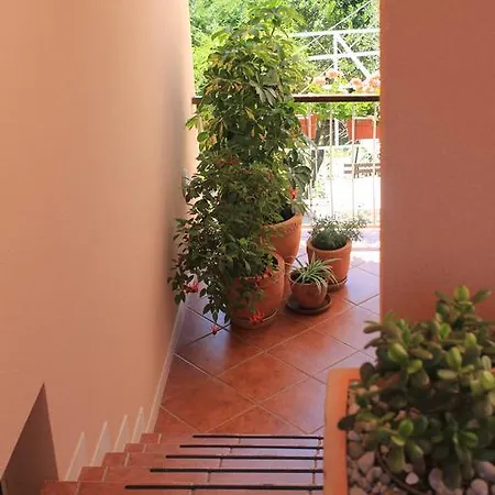 Apartment Rafaela Cavtat